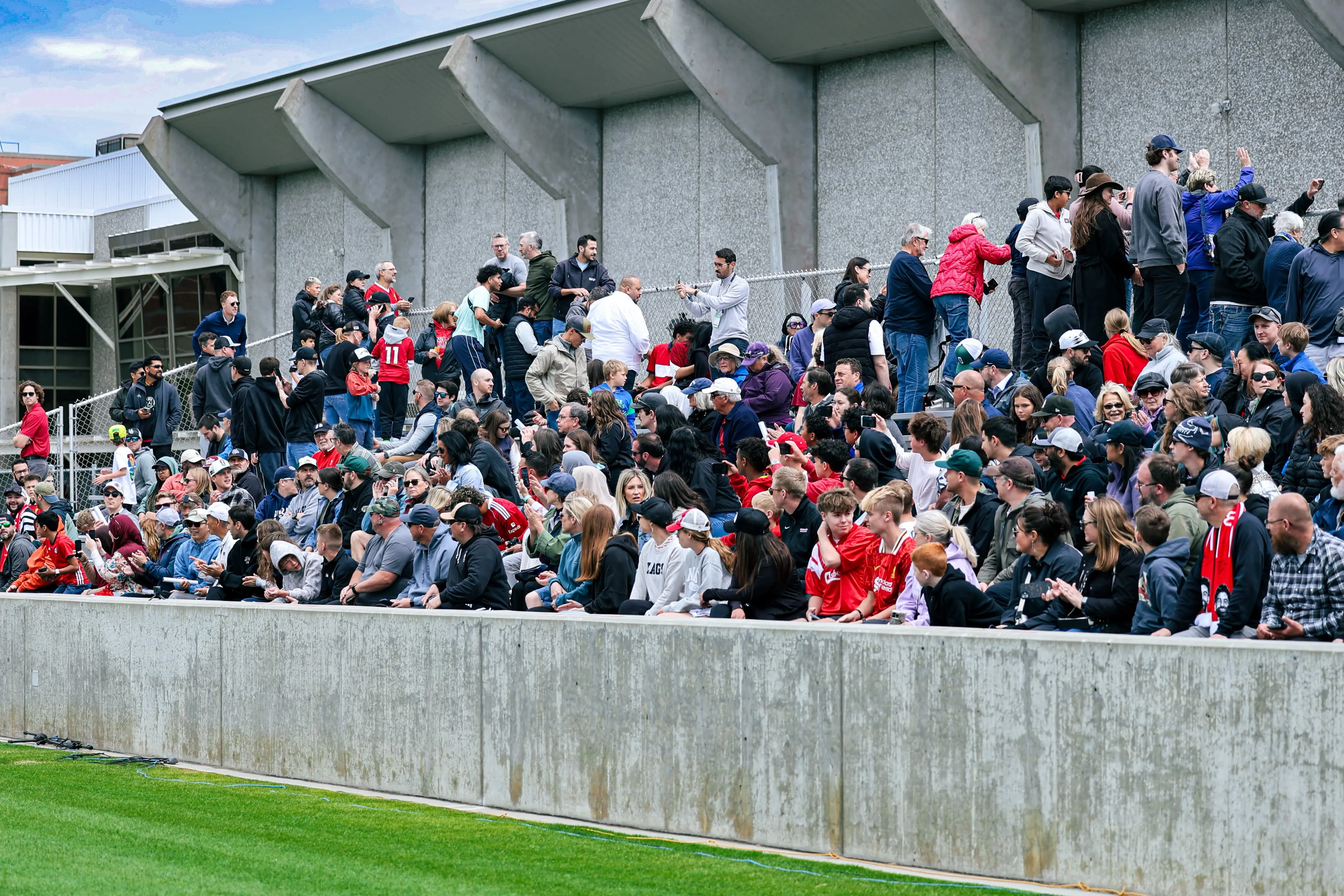 media