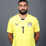 احمد الشناوي