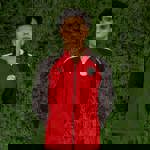 امير عبدالمجيد